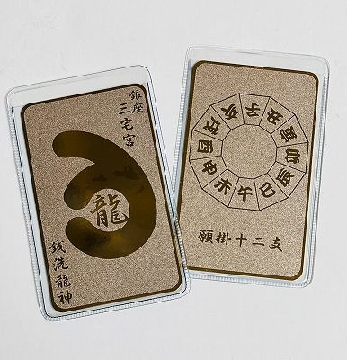 Copa Mina RICH 新ファスナー長財布