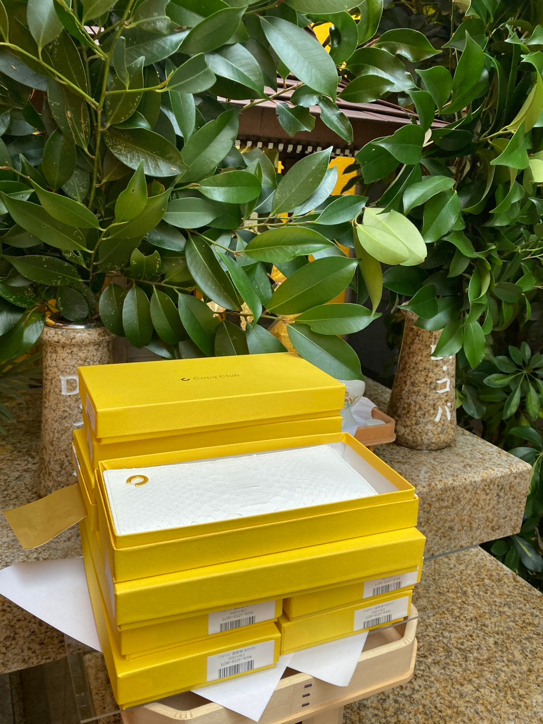 【12/22(月)朝採れ財布&誕生日財布】NEW　パイソン 長財布 ホワイト（GO×SL）