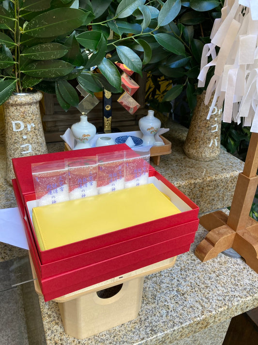 【4月3日(金)：朝採れ財布&お誕生日財布】Copa Color４　新ファスナー長財布　イエロー★特典付★